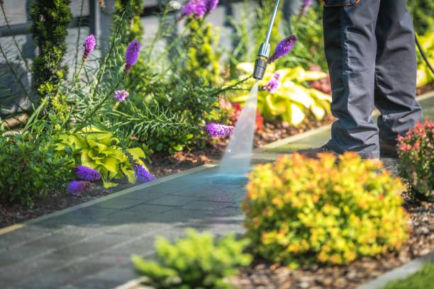 Best Driveway Pressure Washing  in Ramapo College Of New Jersey, NJ