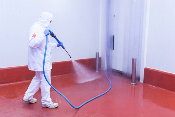 Best Paint Preparation  in Ramapo College Of New Jersey, NJ